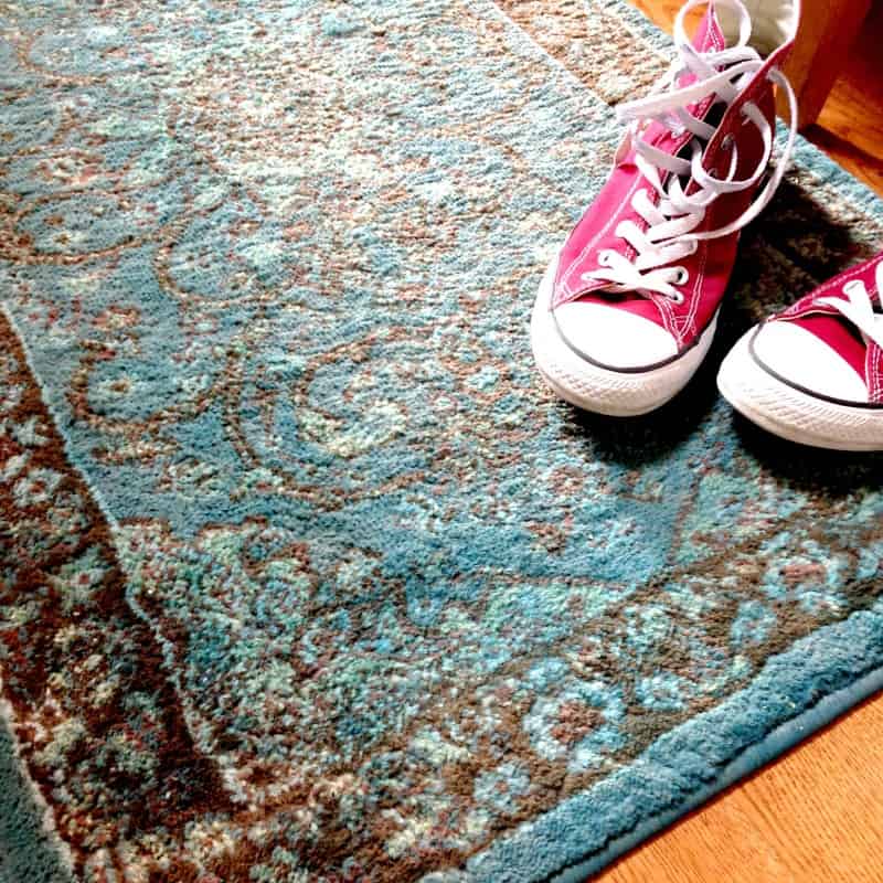 Rit dye carpets  Dye carpet, Dye carpet with rit, Beige carpet